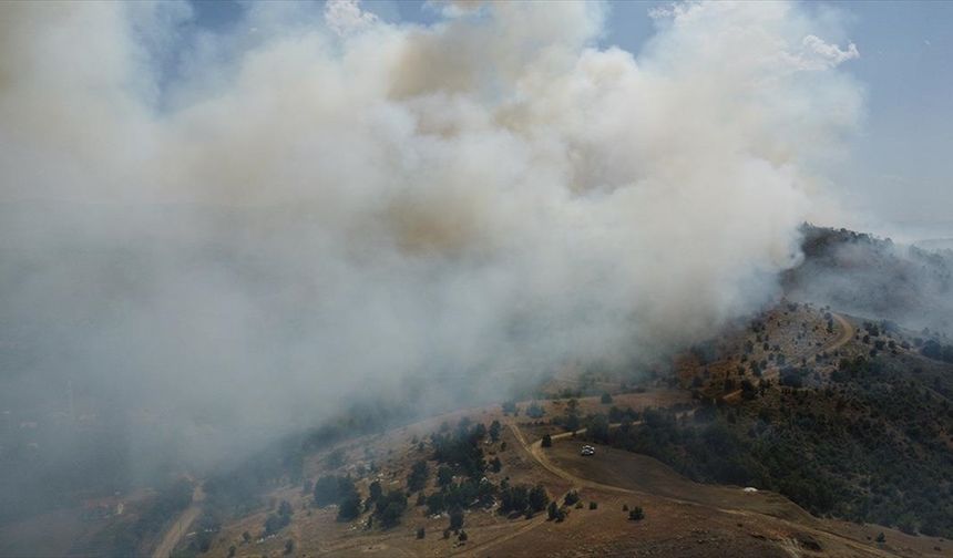 Elazığ'da ormanlık alanda çıkan yangına müdahale ediliyor