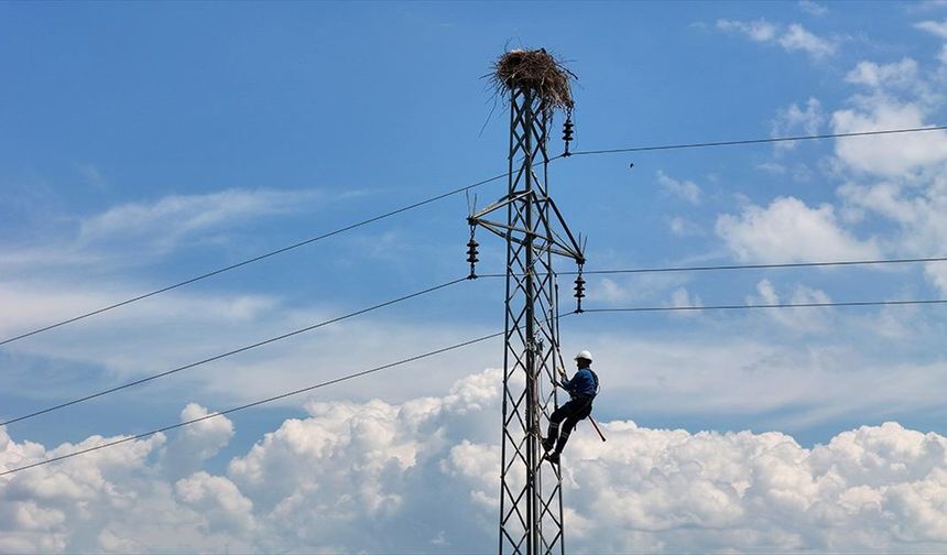 Kuşları korumak ve kesintisiz enerji için direklere izolasyon yapılıyor