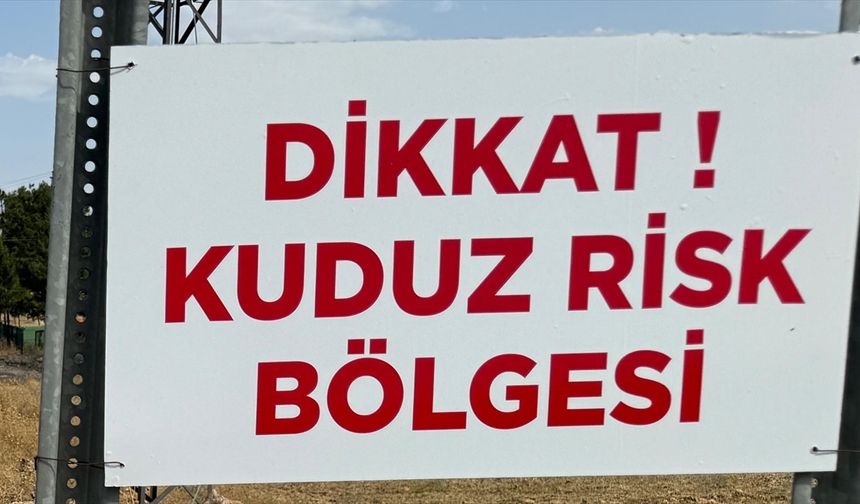 Niğde'de sahipsiz köpeğin bir kişiyi ısırdığı mahallede kuduz karantinası başlatıldı