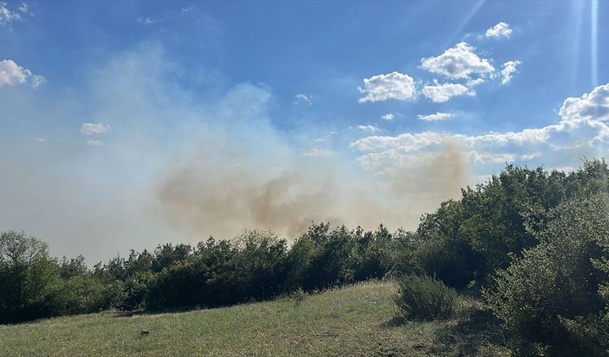 Tokat'ta ormanlık alanda çıkan yangın kontrol altına alınmaya çalışılıyor