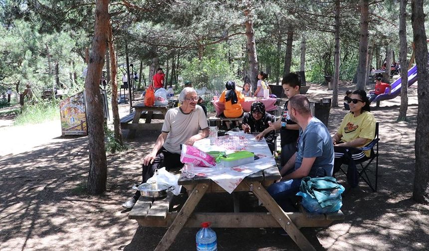 Yozgat'taki Çamlık Milli Parkı piknikçileri ağırlıyor