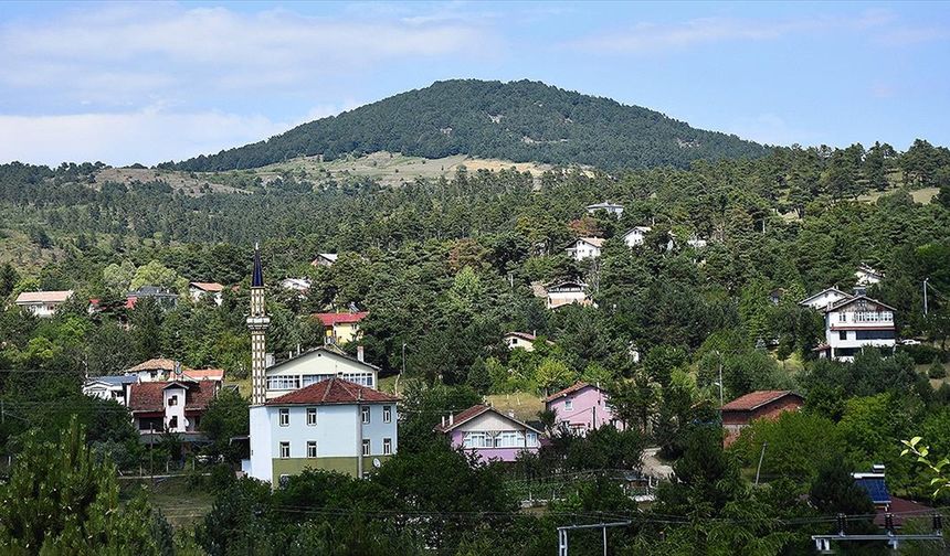 Yeşilin tüm tonlarını barındıran Çamiçi Yaylası ziyaretçilerini ağırlıyor