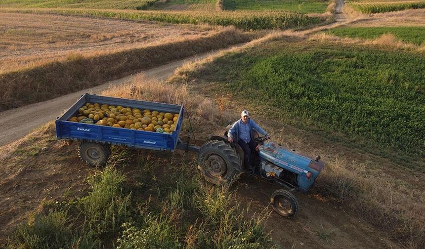 Büyükşehirdeki yöneticilik kariyerinden vazgeçip baba ocağında çiftçi oldu