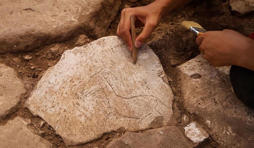 Karahantepe'de bulunan koşan yaban eşeği figürü neolitik döneme ışık tutacak