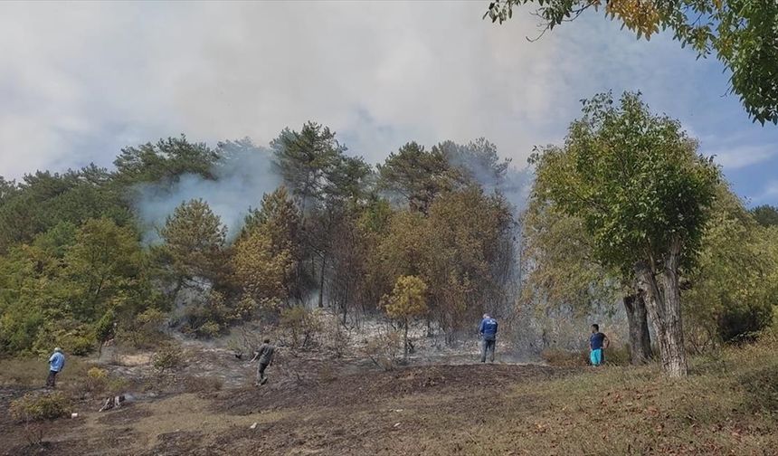 Karabük'te çıkan orman yangınında 15 dönüm alan zarar gördü