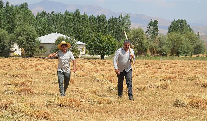 Köylerinde bir yandan babalarına destek olan Hakkarili iki öğrenci azmedip tıp kazandı