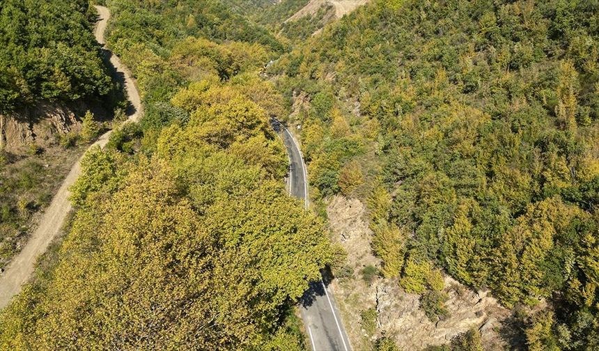 Tekirdağ'daki Ganos Dağı'nın eteklerinde sonbaharın renkleri hakim olmaya başladı