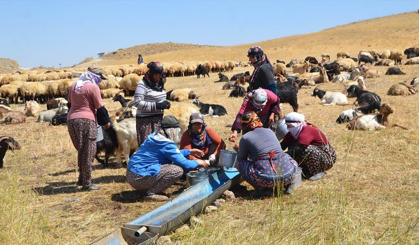 Yüksekova'da berivanlar yaptıkları ürünleri satarak aile bütçelerine katkıda bulunuyor