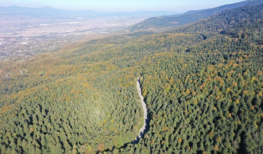 Gölcük Tabiat Parkı ve çevresi hazan mevsiminin renkleriyle süslendi