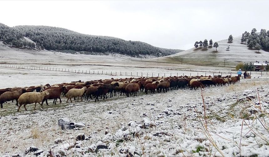 Kars'ta şehir merkezine mevsimin ilk karı yağdı