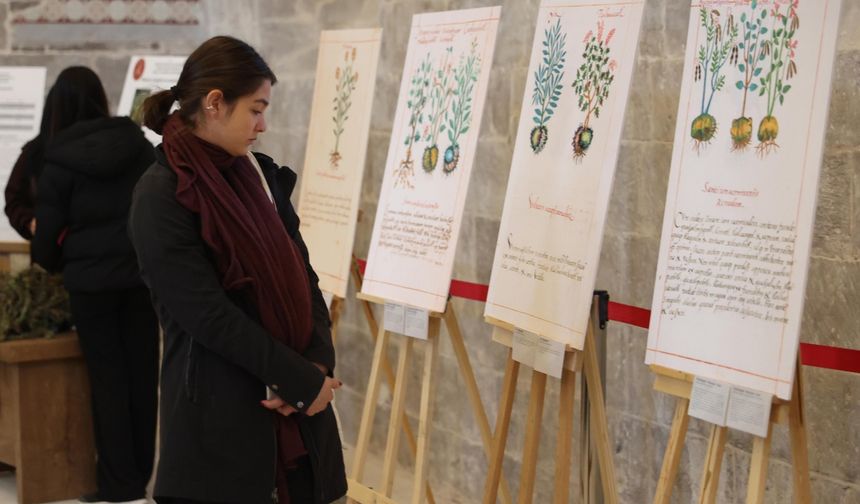 Meksika'nın tıbbi bitkileri Nevşehir'deki resim sergisinde tanıtıldı