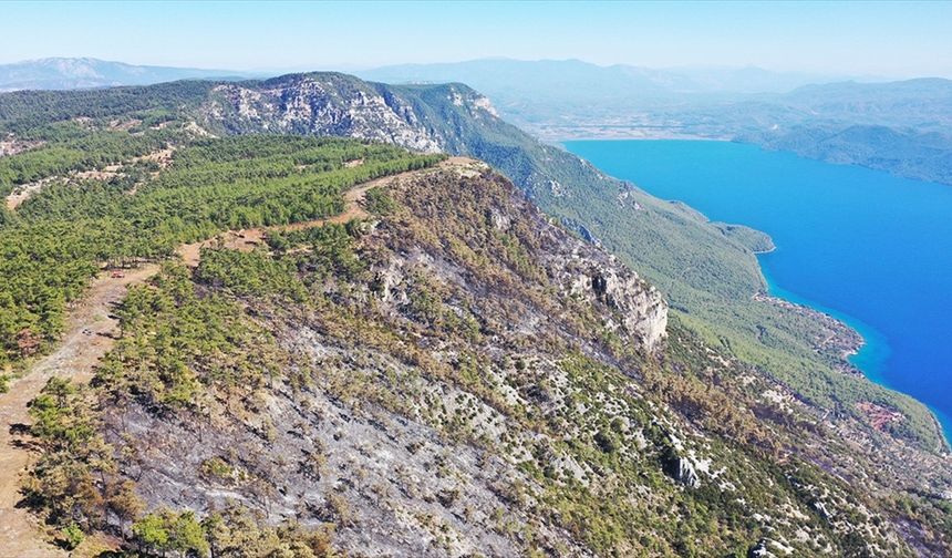 Menteşe'de ormancılar 6 kilometre "yangın şeridi" açarak alevlerin önünü kesti