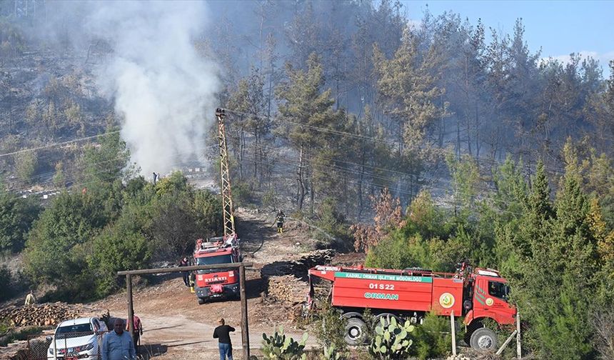 Osmaniye'de çıkan orman yangını söndürüldü