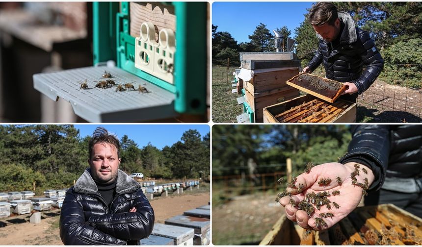 Arı alerjisini yendi, Uludağ'ın eteklerinde kestane balı üretiyor