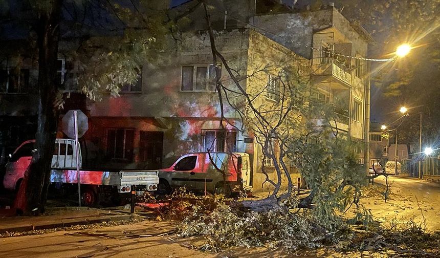 Bursa'da fırtına ağaçlar ve çöp konteynerlerini devirdi, araçlara zarar verdi