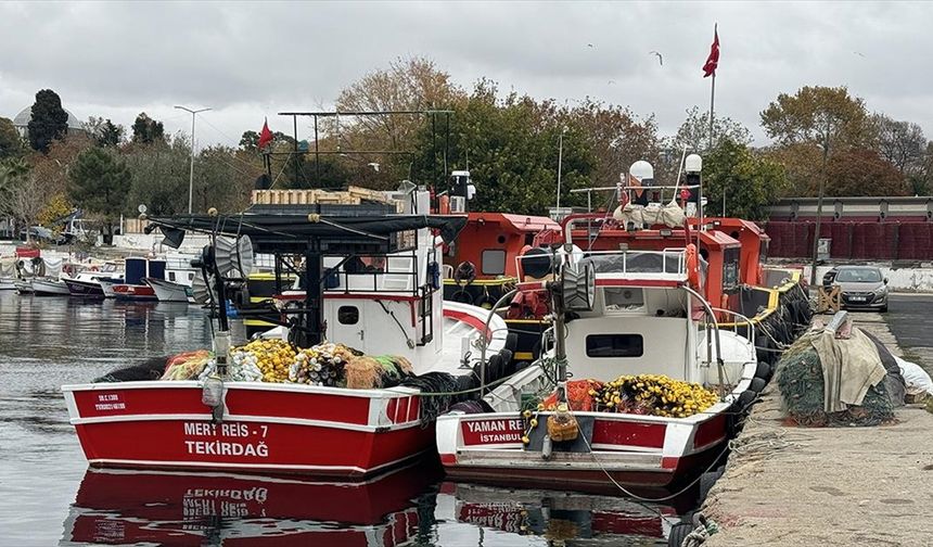 Tekirdağlı balıkçılar hamsi ve istavrit umuduyla Karadeniz'e gidecek