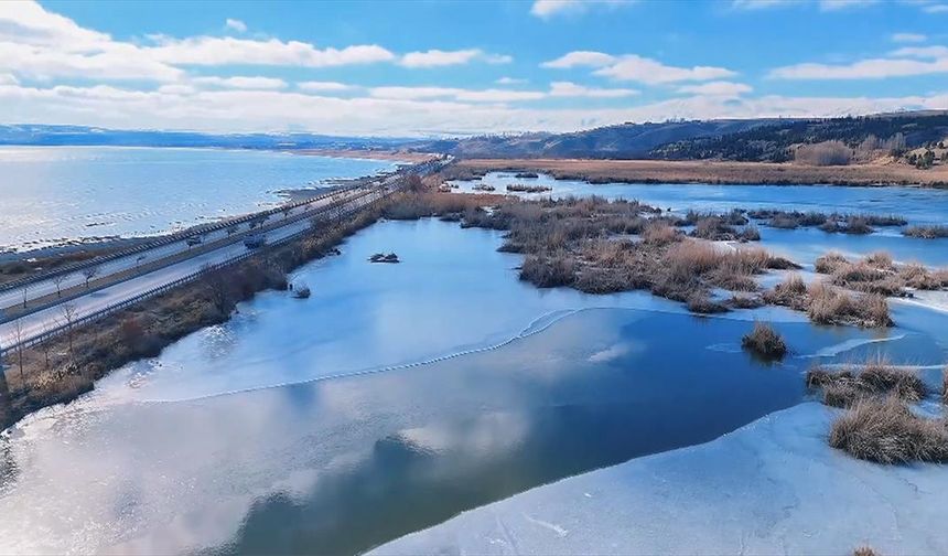 Bitlis'teki "kuş cenneti" yüzeyinin büyük bölümü buz tuttu