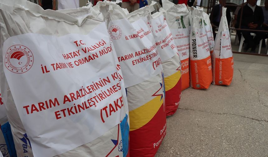 Hatay'da depremzede üreticilere tohum ve zeytin hasat makinesi desteği