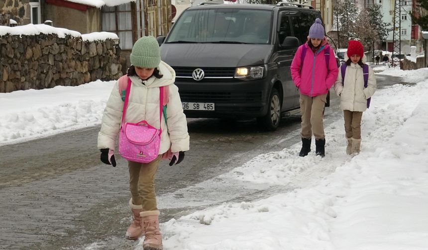 Kars ile Ağrı'da kar ve soğuk hava etkili oluyor