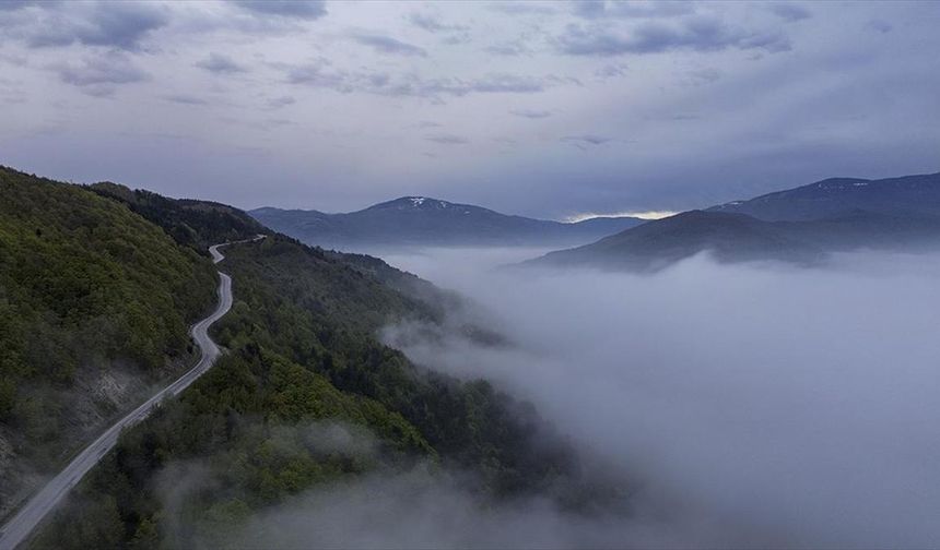 Kastamonu'da sis bulutuyla bütünleşen ormanlar havadan görüntülendi