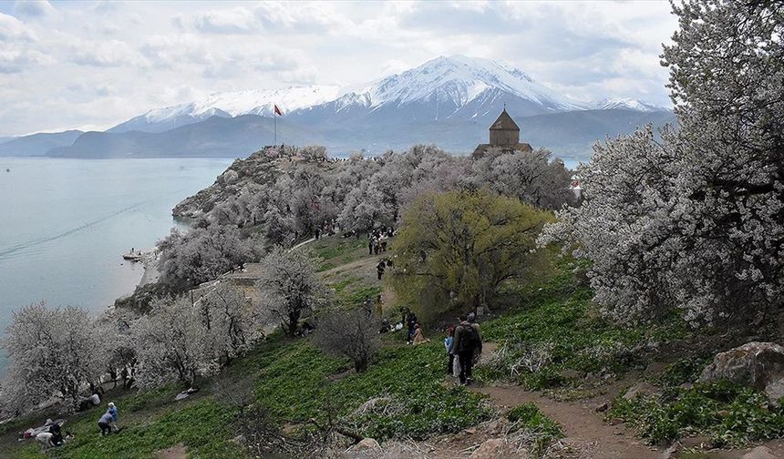 Van'da düzenlenen "3. Akdamar Adası Badem Çiçeği Festivali" sona erdi