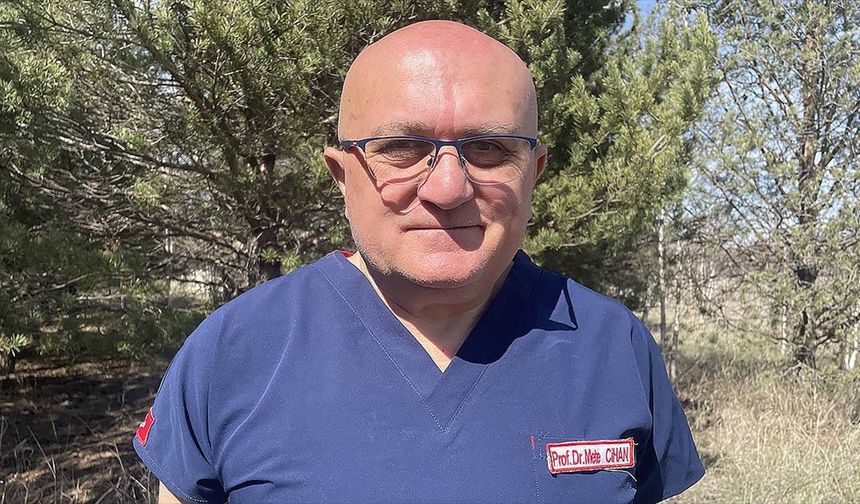 Yerleşim yerlerine inen bozayılara "öz çekim için yaklaşmayın"