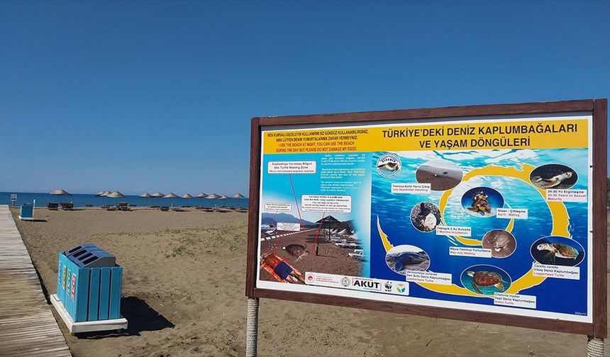 Muğla'da İztuzu Plajı'ndaki caretta caretta yuva sayısı 10'a ulaştı