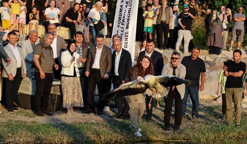 Bursa'da doğayla iç içe bir şenlik... Leylek Şenliği'ne coşkulu start