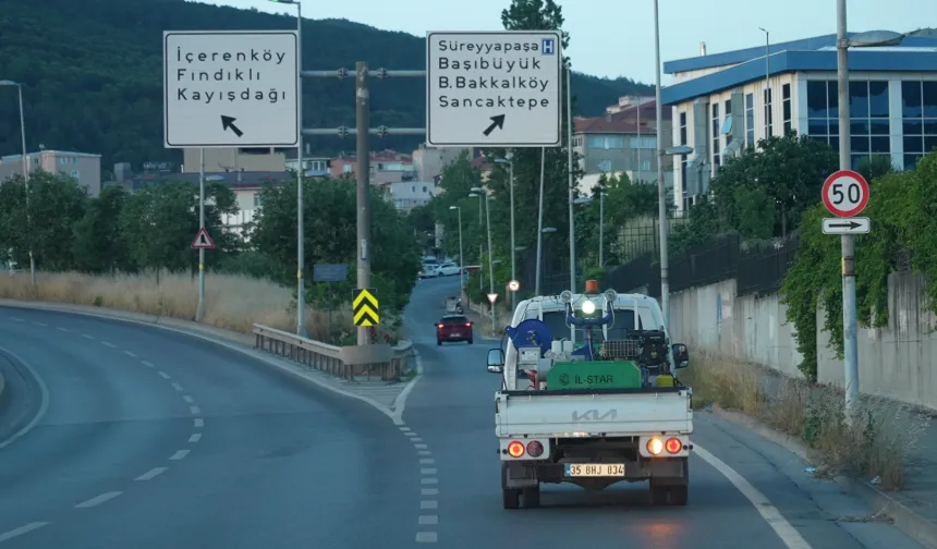 İstanbul Maltepe'de sokak ilaçlamaları sürüyor