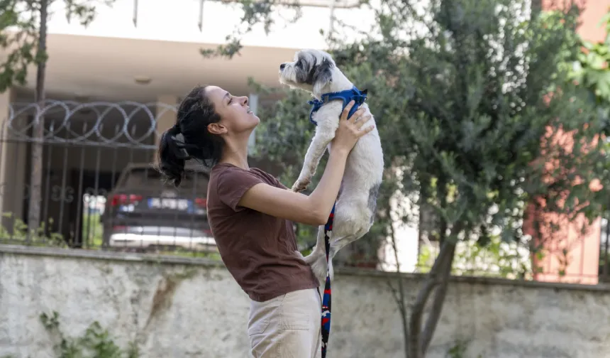 Mersin'de 'Yaşamı Sahiplen' kampanyasıyla binlerce can yuva buldu